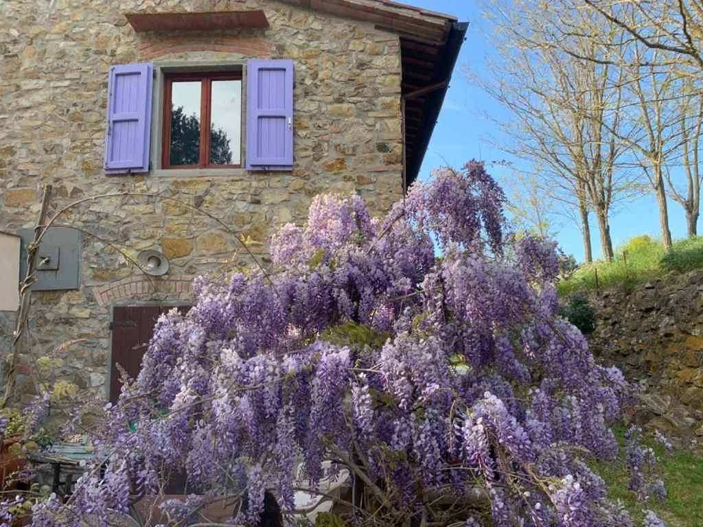 Antico Casale Il Fiorentino Montenero  外观 照片
